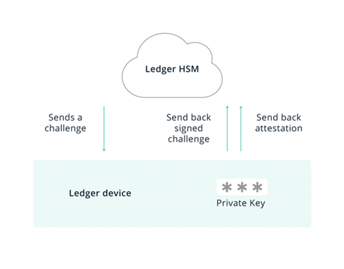 LEdger Nano S review 2020